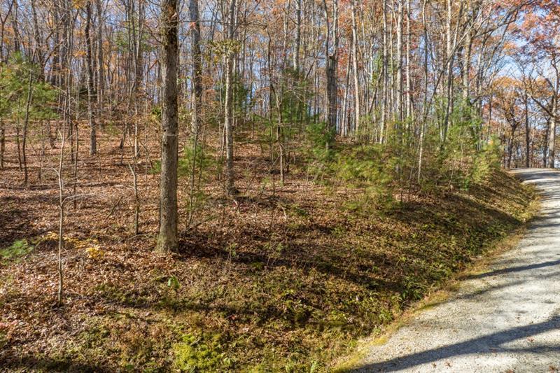 LOT 7 Joseph Anderson Trail