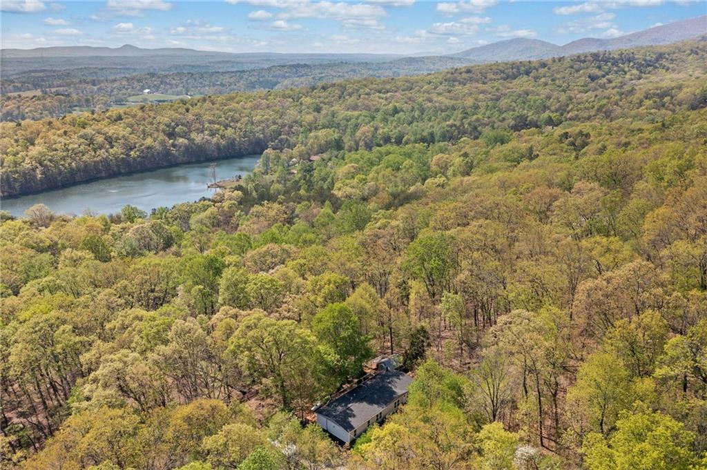 399 Mountain Oak Trail, Jasper, Georgia image 39