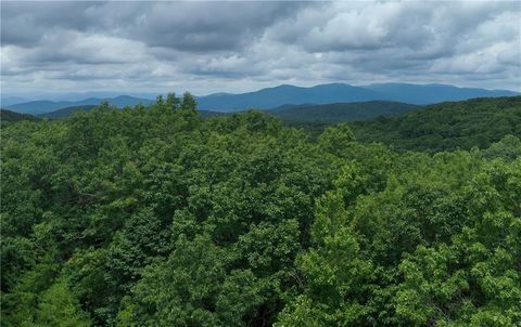 67 St Andrews Way Ellijay GA 30536