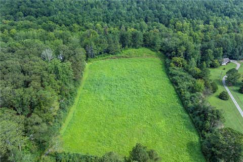Vacant Land For Sale - Highway 136<br/> Pickens County, Talking Rock, GA 30175