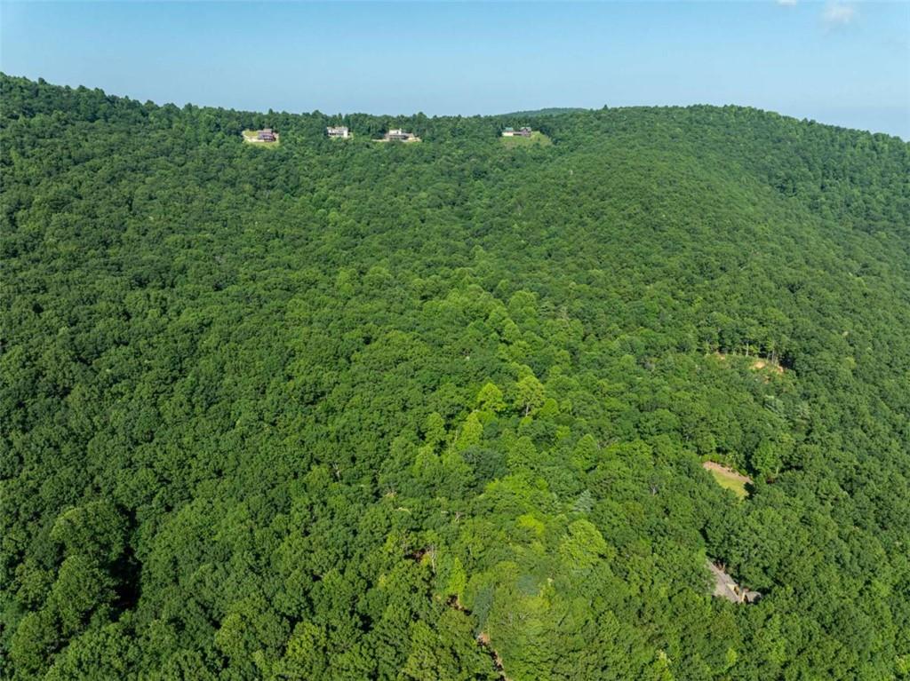 1298 Cold Stream Trail