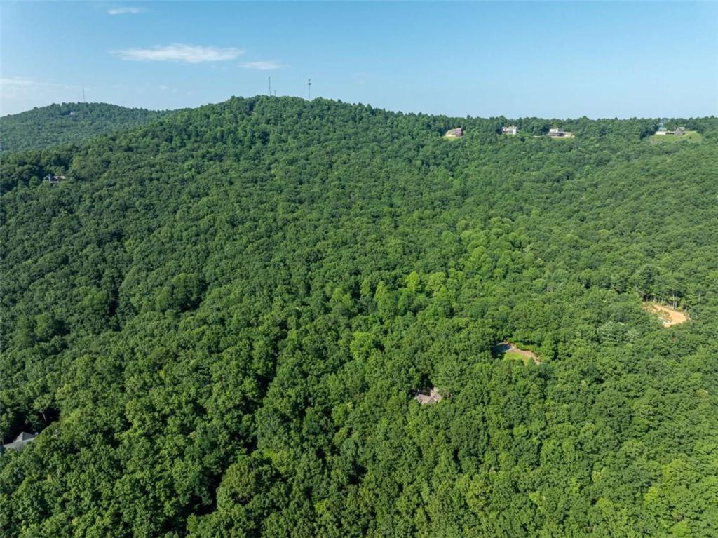 1298 Cold Stream Trail