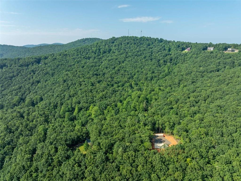 1298 Cold Stream Trail