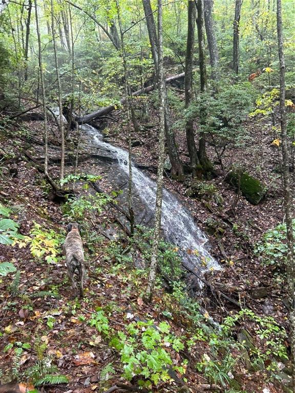 1298 Cold Stream Trail