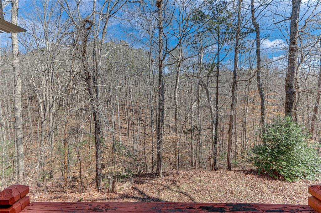 109 Givens Drive, Dahlonega, Georgia image 4