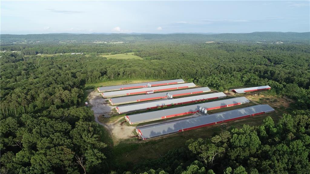 876 Wood Station Road