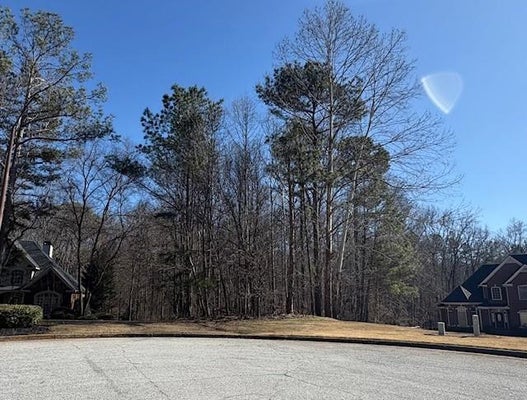 4303 AVARY PL, DOUGLASVILLE, GA 30135 - Image 2ddadabacd5d8df96ffdfd54110ab55b/3025556869