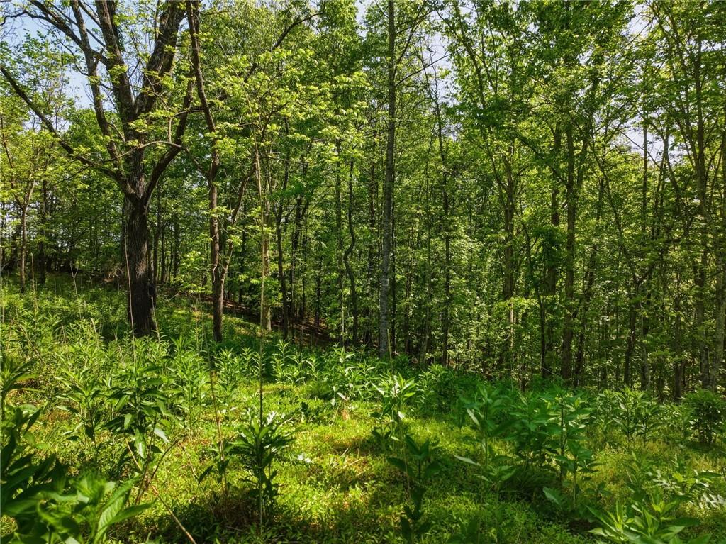 Lot 2 Summit Drive