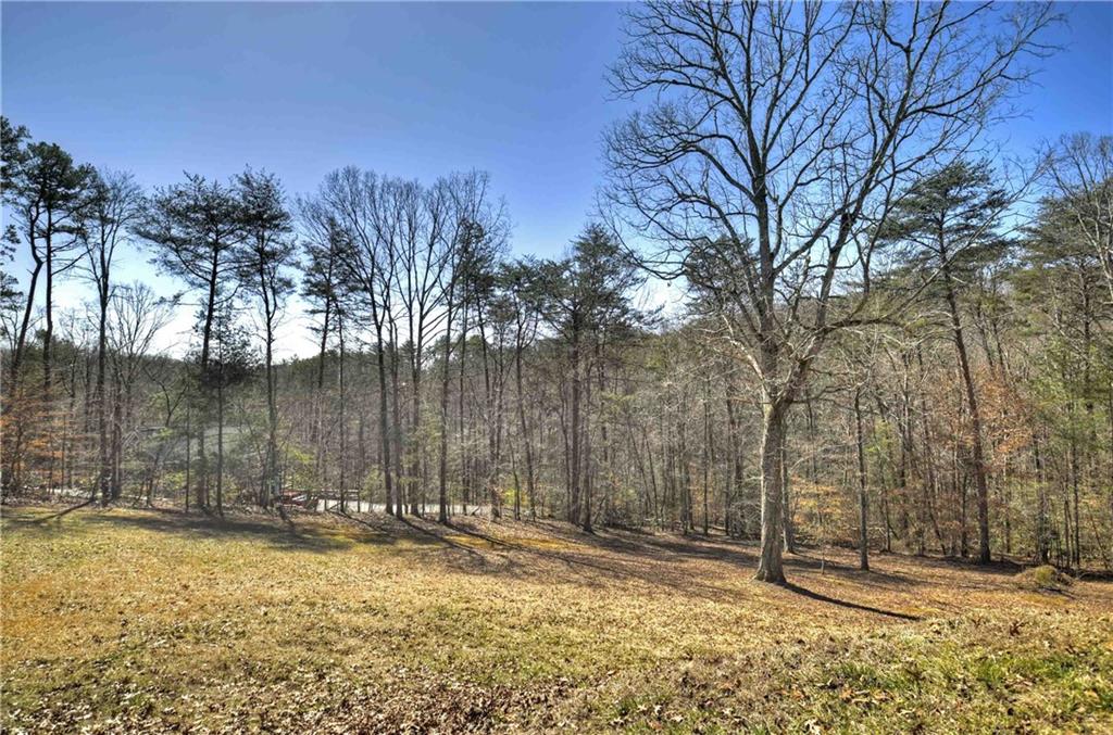 140 Woodland Drive, Ellijay, Georgia image 6