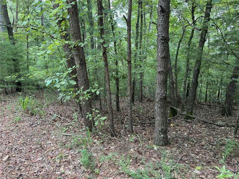 0 Shade Tree Talking Rock GA 30175