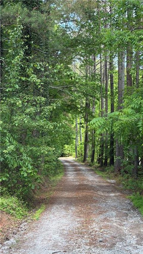 Vacant Land For Sale - 340 Wash Wilson Loop Loop<br/> Fannin County, Blue Ridge, GA 30513