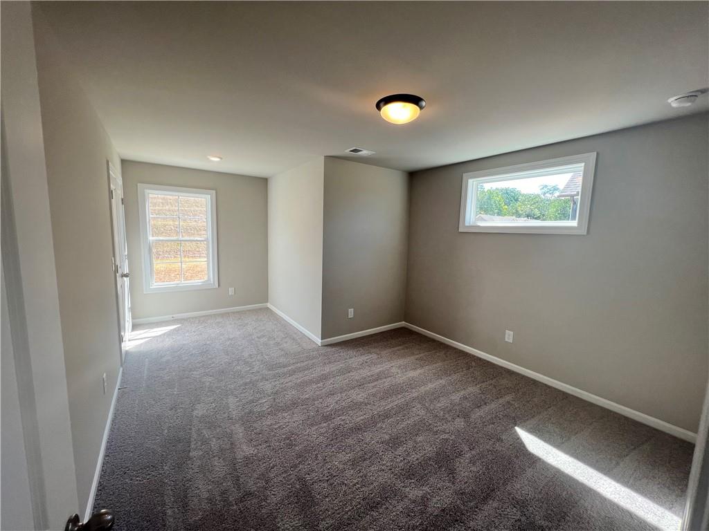 316 Willow Cove, Canton, Georgia image 14