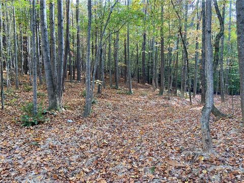 Vacant Land For Sale - 451 Lone Bear Path<br/> Dallas, GA 30132