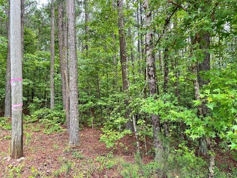 Vacant Land For Sale - 131 Ext Johnson Road<br/> Locust Grove, GA 30248