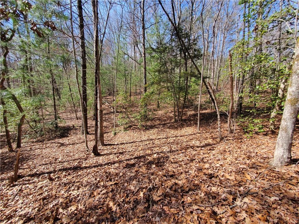 Trails End Summit, Ellijay, Georgia image 4