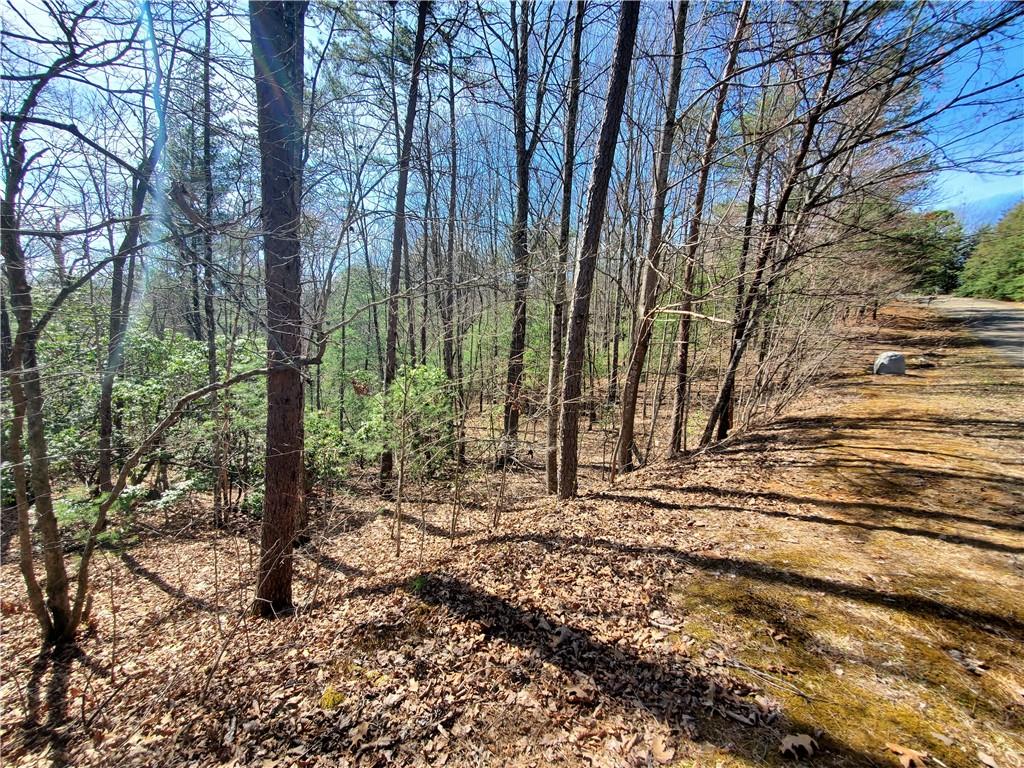Trails End Summit, Ellijay, Georgia image 14