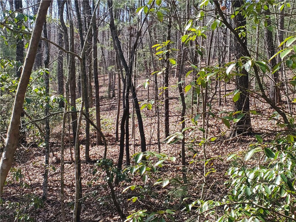 Trails End Summit, Ellijay, Georgia image 6