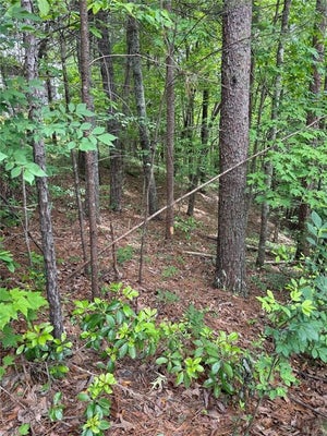 HINTERSTRATEN WEG, HELEN, GA 30545 - Image 2eb1a4fedf2dd59c68788aba8f700f49/4232016125