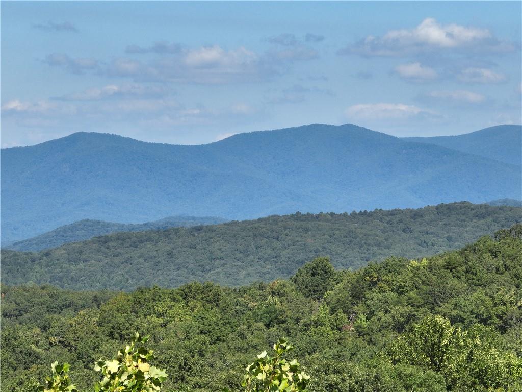 66 St Andrews Way, Ellijay, Georgia image 8