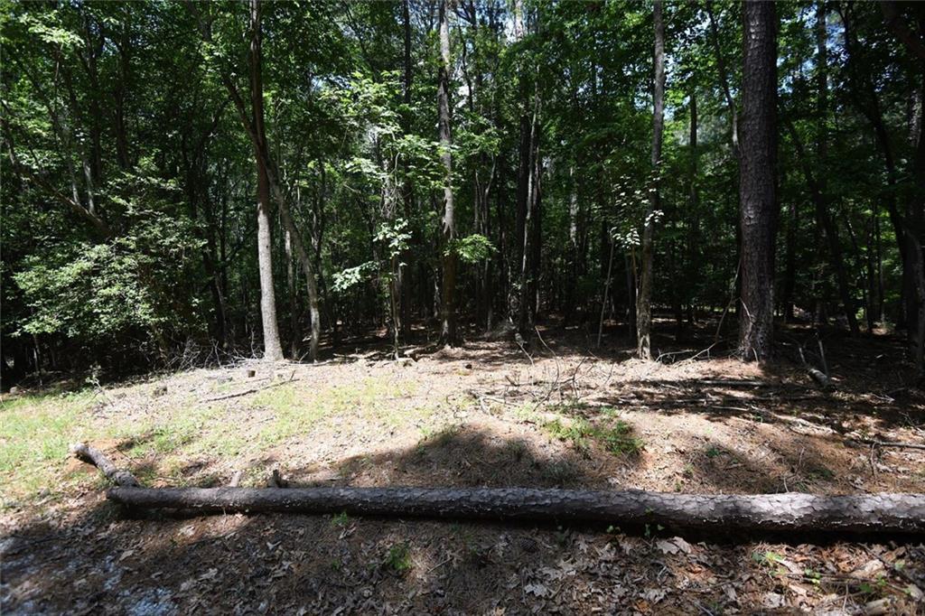 3269 Callie Still Road