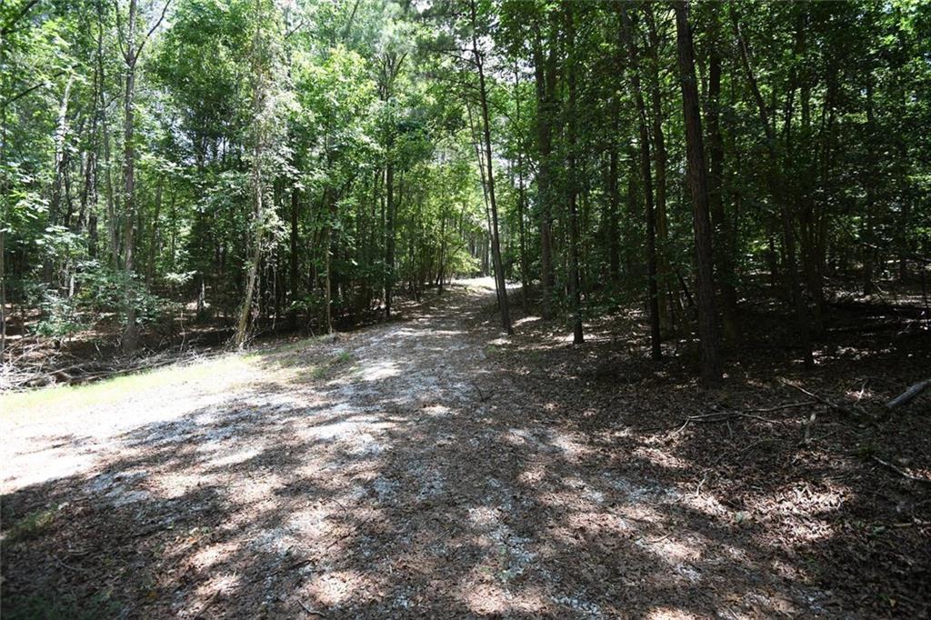 3269 Callie Still Road