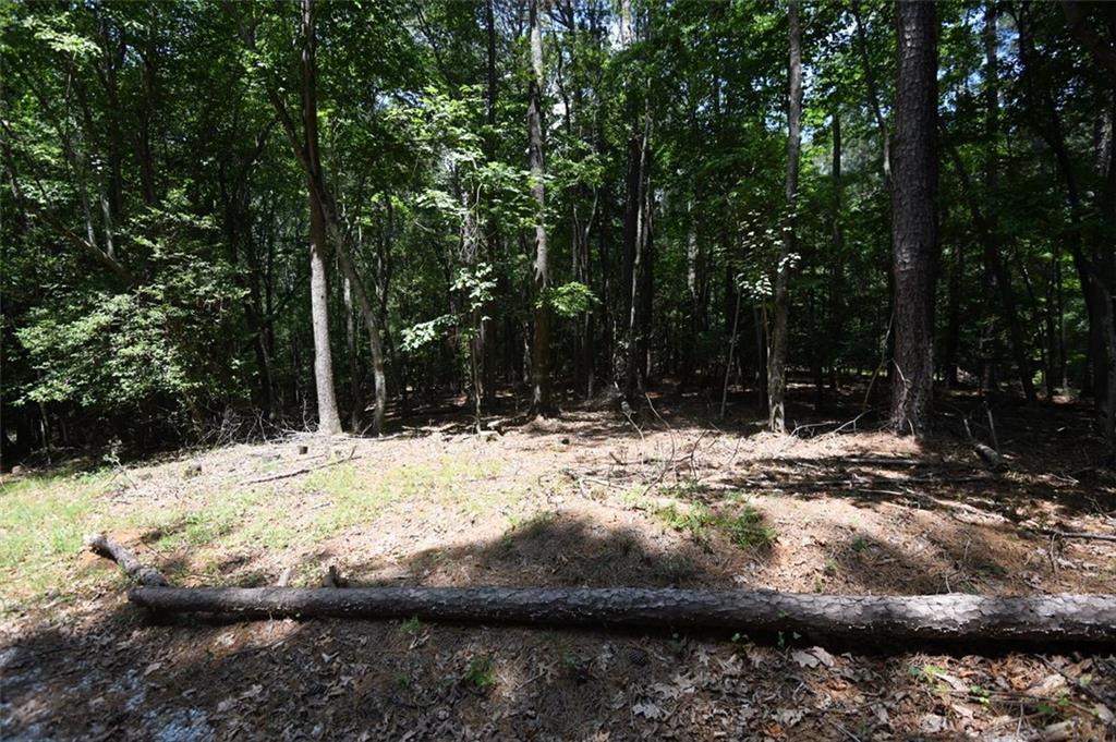 3269 Callie Still Road
