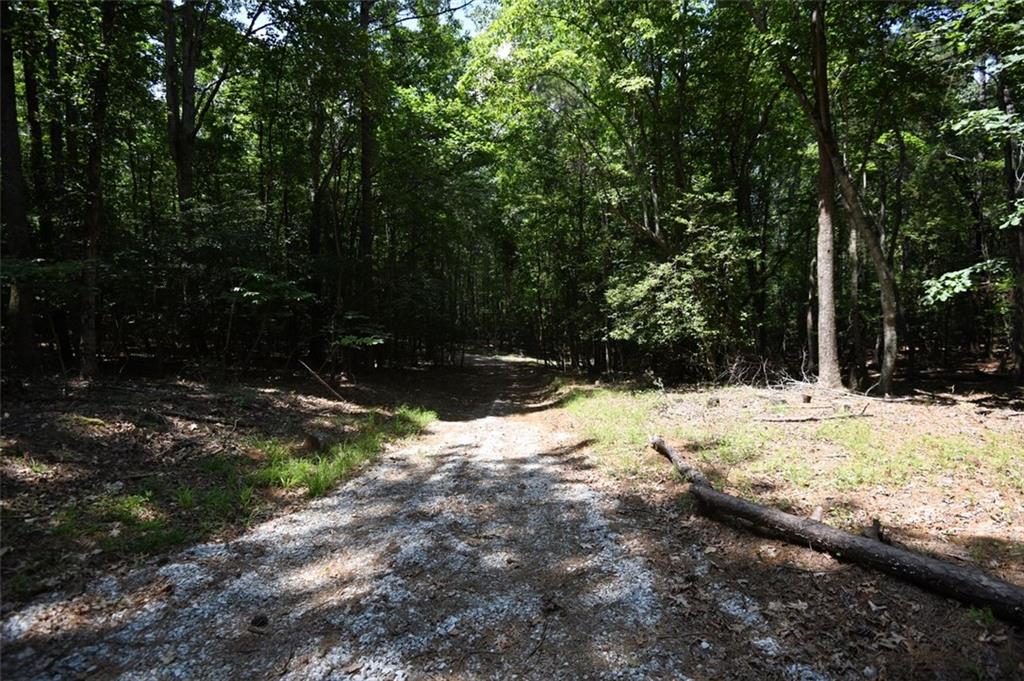 3269 Callie Still Road
