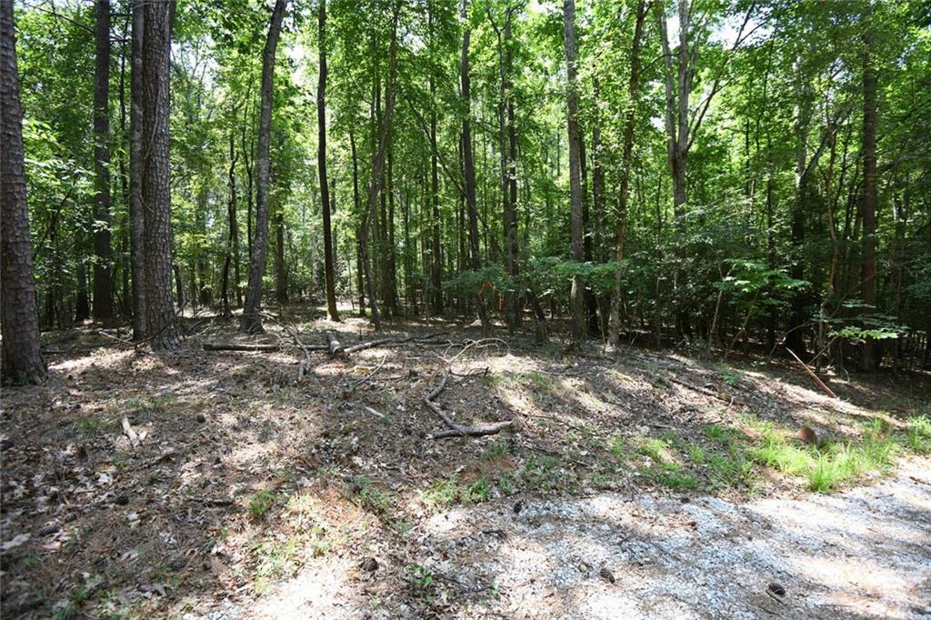 3269 Callie Still Road