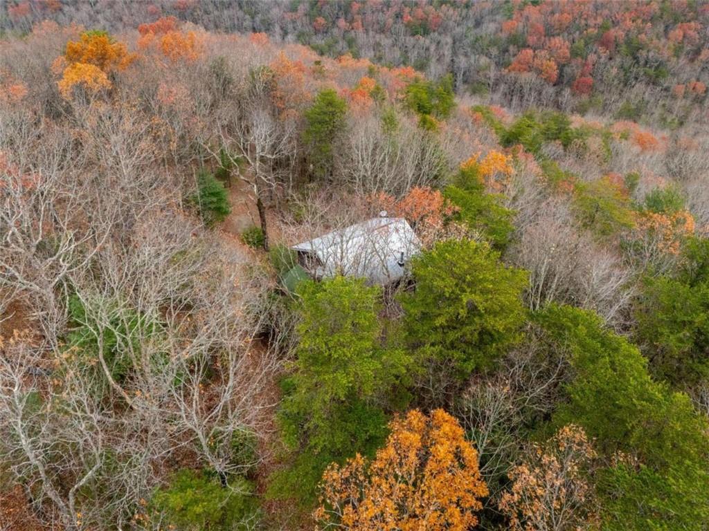 198 Hollow Log Trail