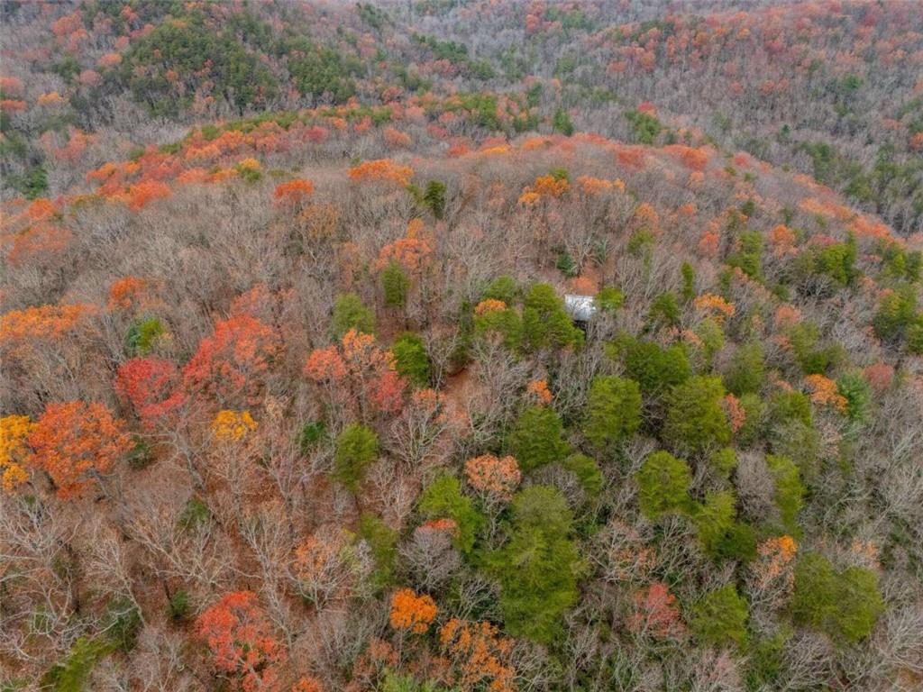 198 Hollow Log Trail