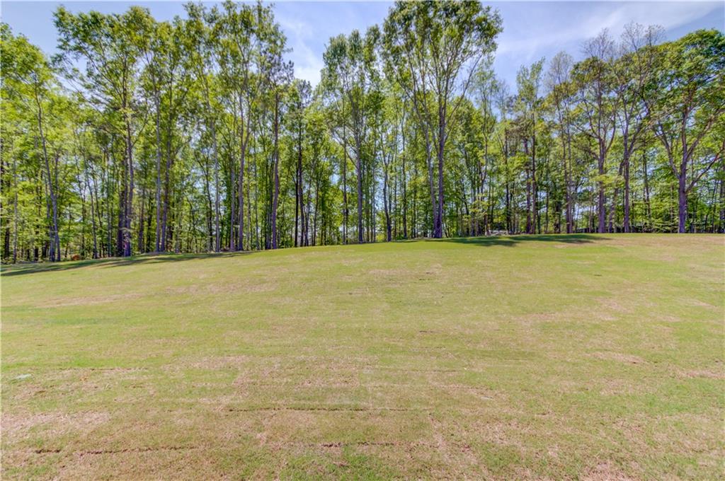 51 Deer Canyon Drive, Auburn, Georgia image 33