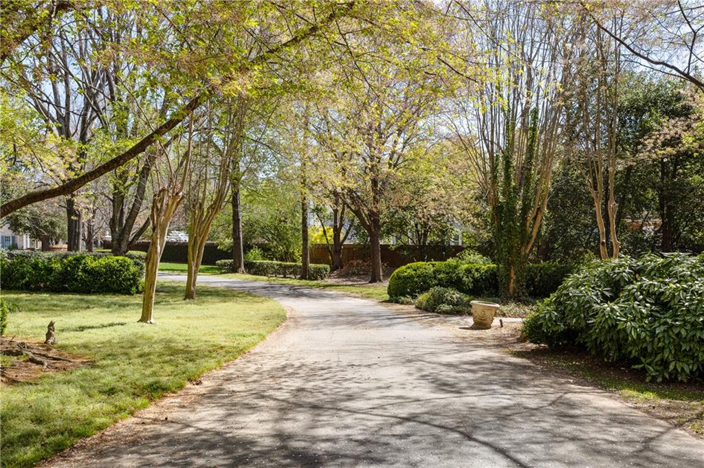 3847 Sweet Bottom Drive, Duluth, Georgia image 6