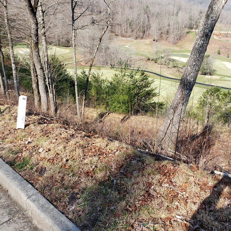 Bent Grass Way, Clayton, Georgia image 3