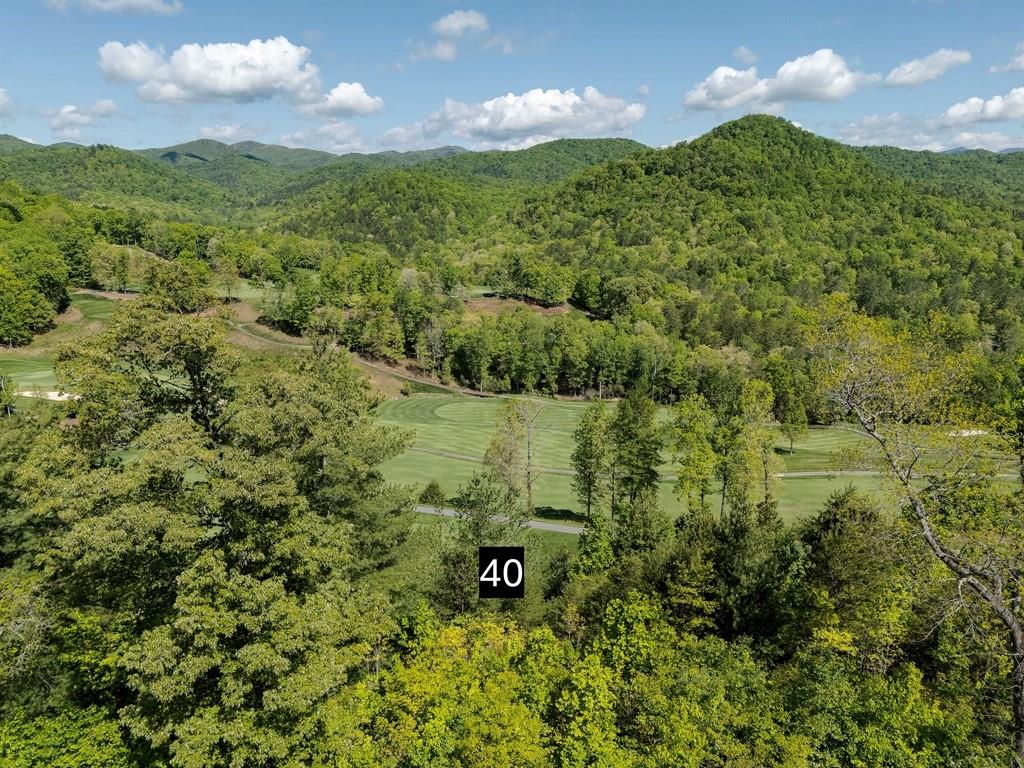 Bent Grass Way, Clayton, Georgia image 11