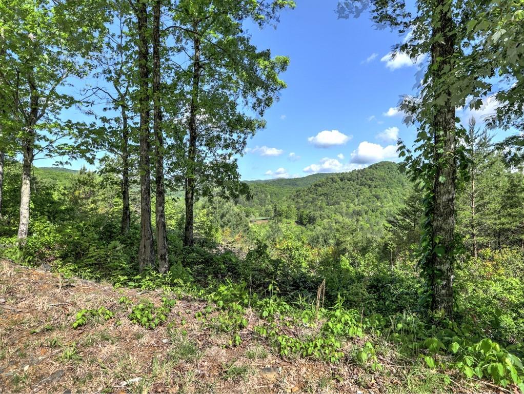 Bent Grass Way, Clayton, Georgia image 17