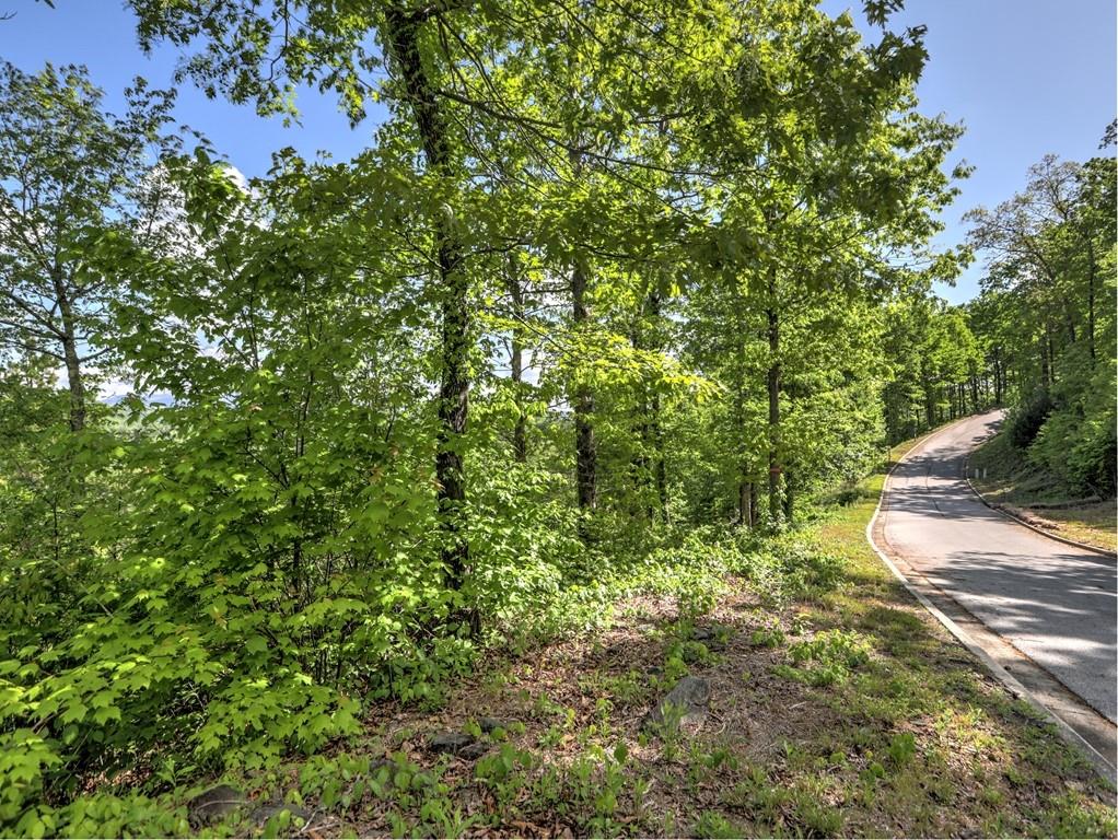 Bent Grass Way, Clayton, Georgia image 18