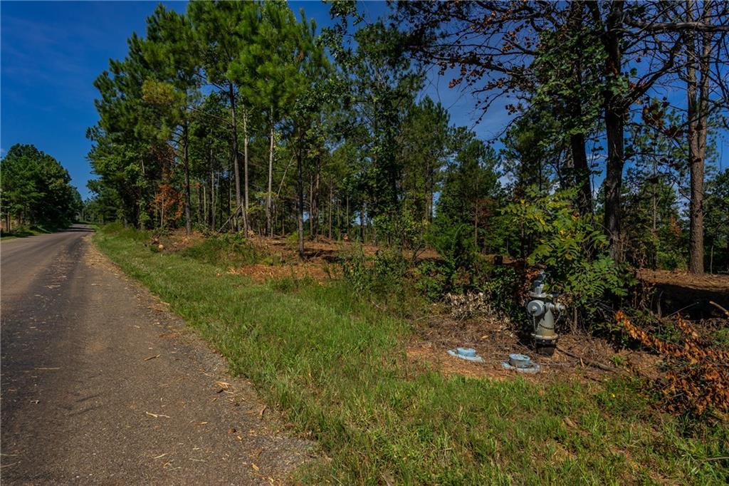 Lot 4 Young Loop, Fairmount, Georgia image 6