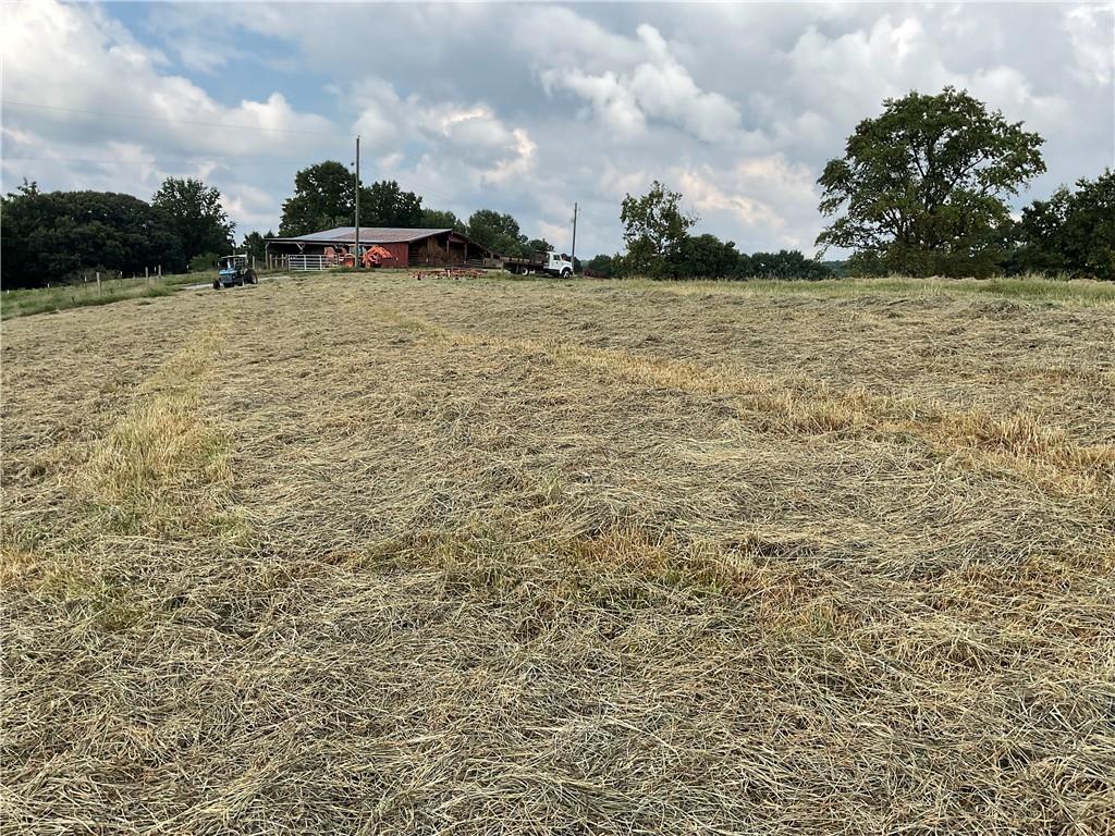 Claude Parks Road, Murrayville, Georgia image 3