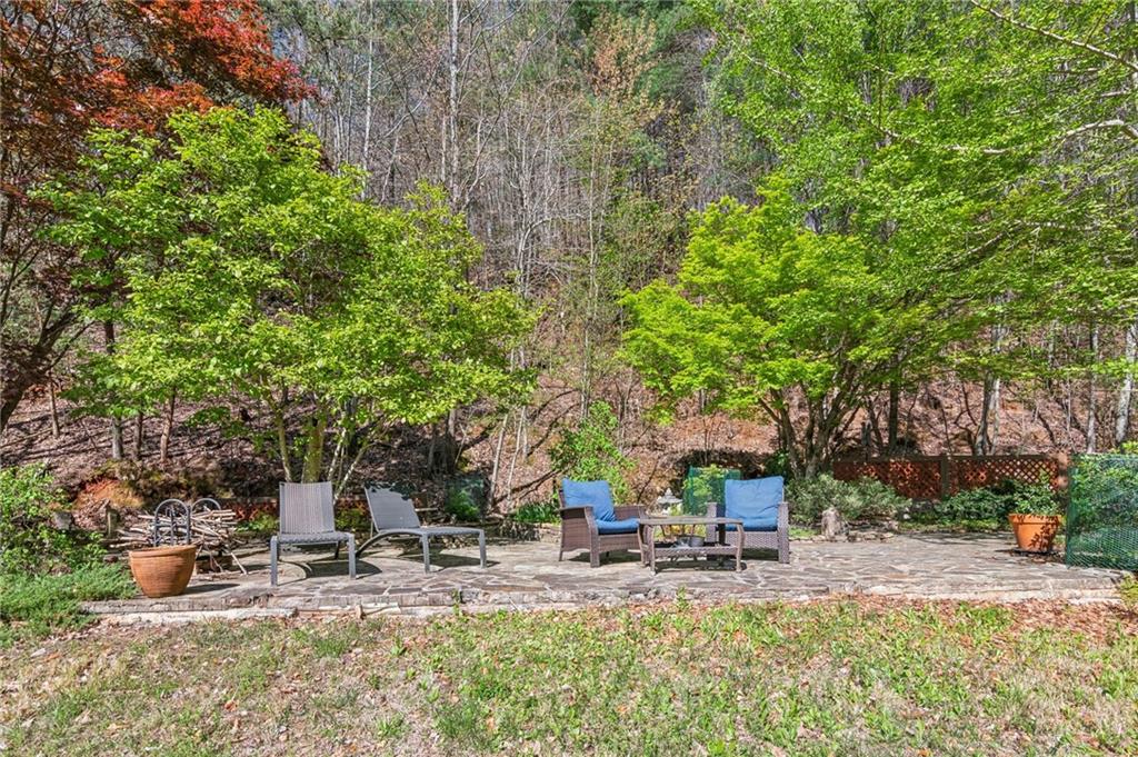 118 Tucker Lane, Dahlonega, Georgia image 46