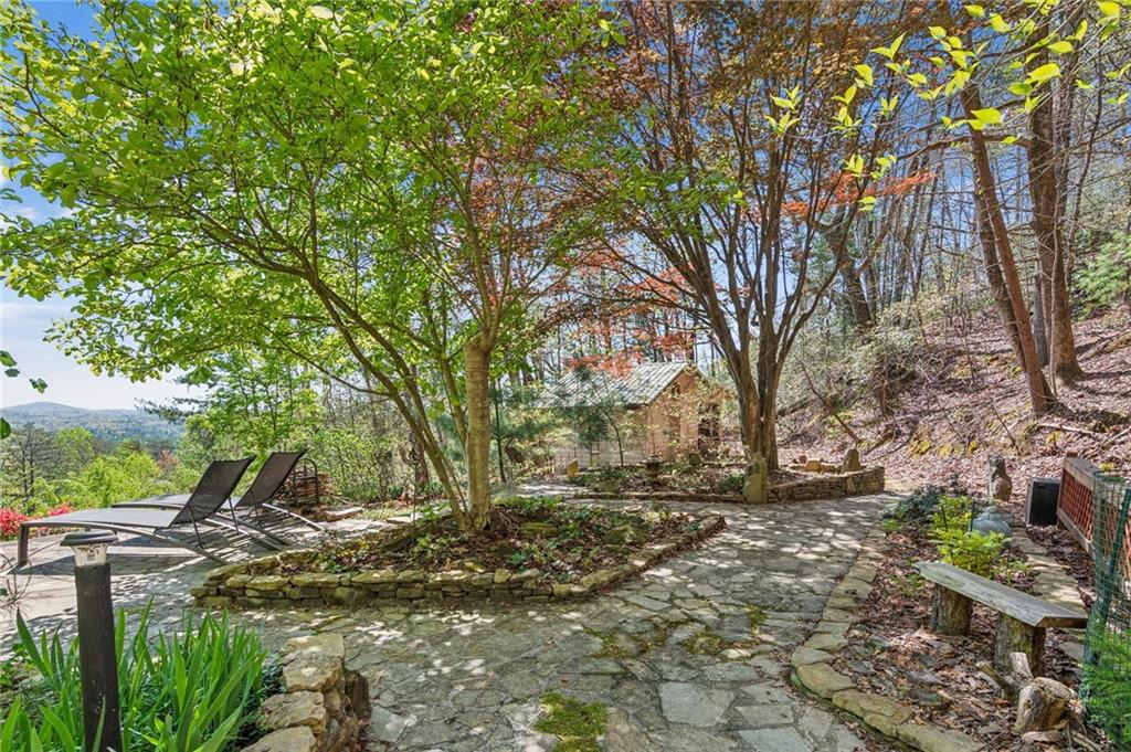 118 Tucker Lane, Dahlonega, Georgia image 49