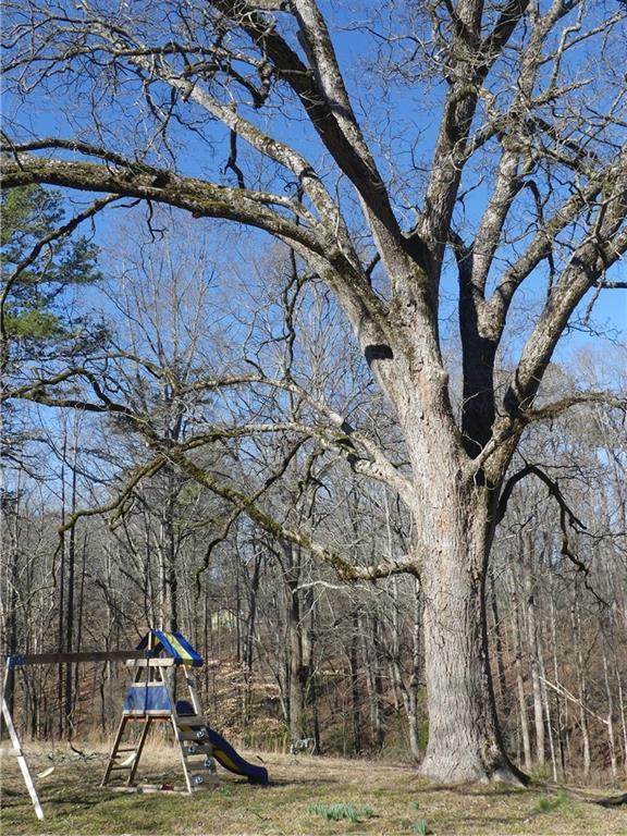 253 Alder Street, Demorest, Georgia image 24