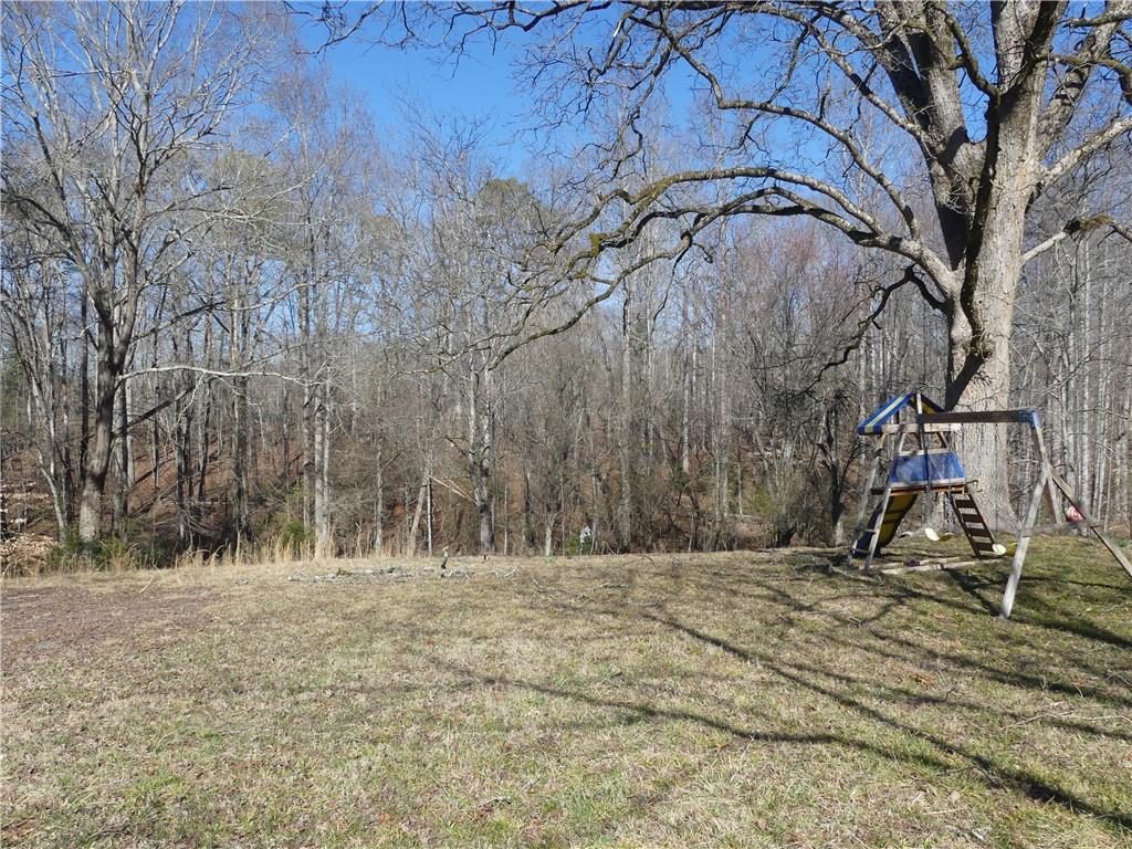 253 Alder Street, Demorest, Georgia image 22