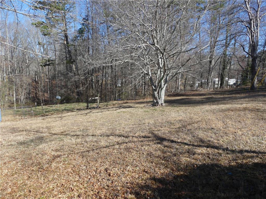 253 Alder Street, Demorest, Georgia image 23