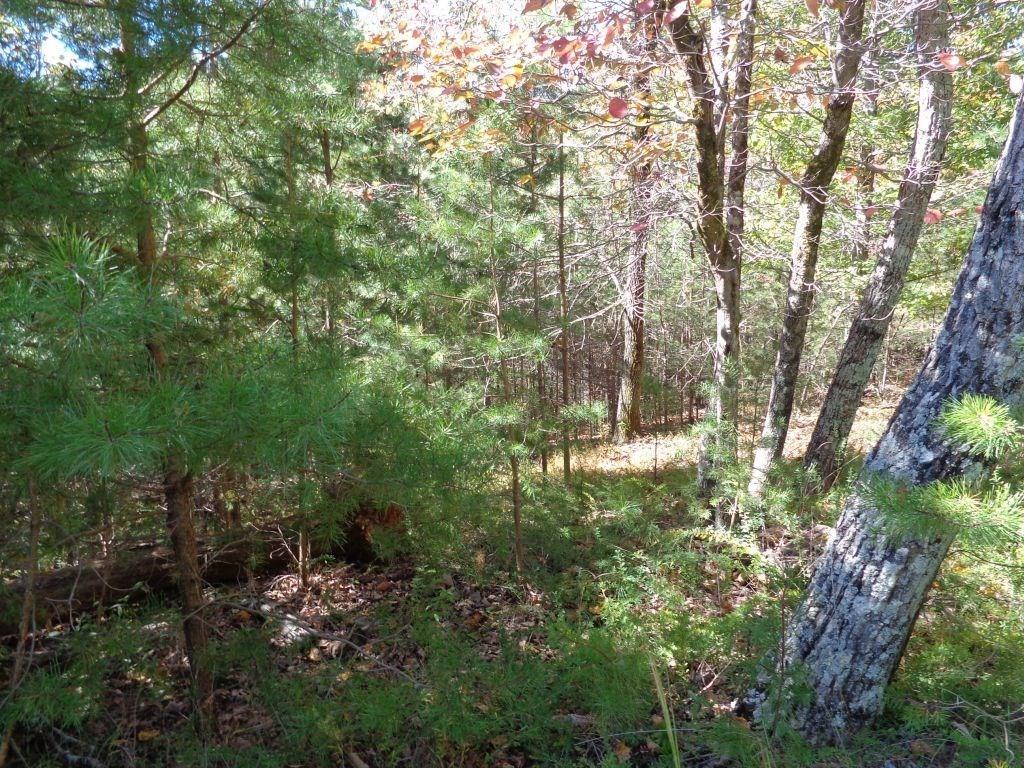 2474 Wedgewood Drive