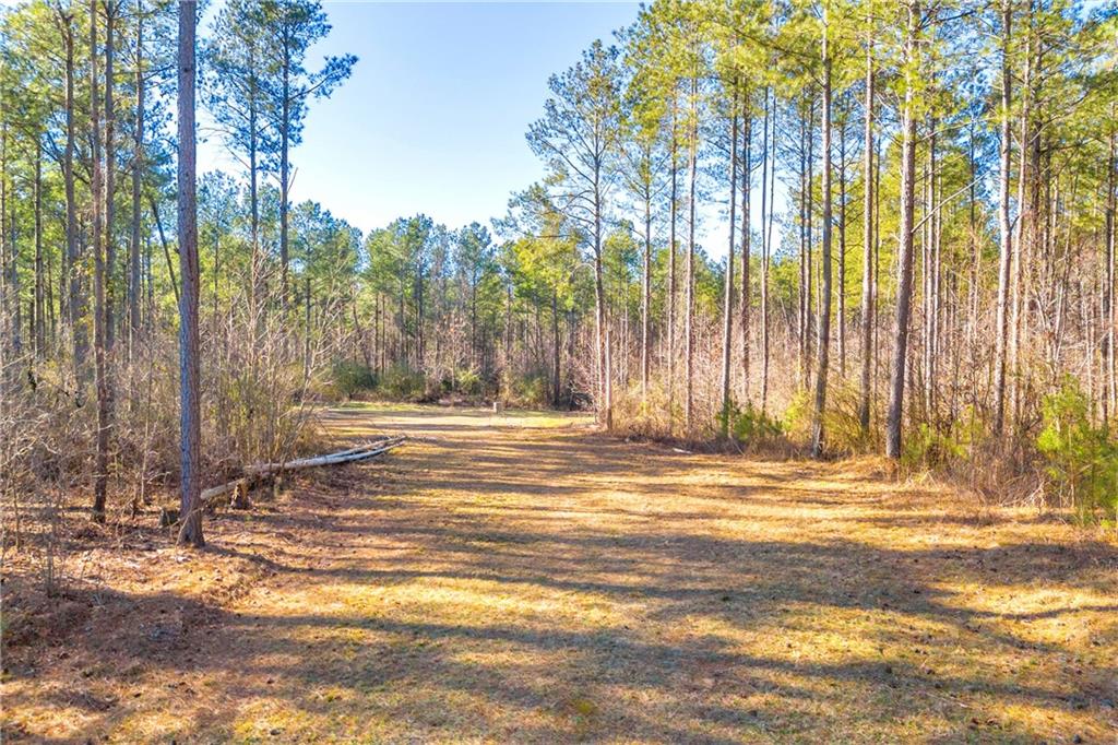 1827 Craft Road, Elberton, Georgia image 5