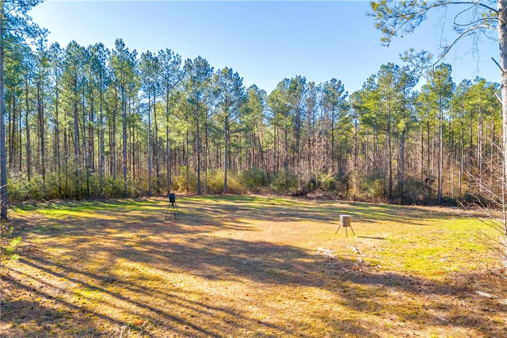 1827 Craft Road, Elberton, Georgia image 6