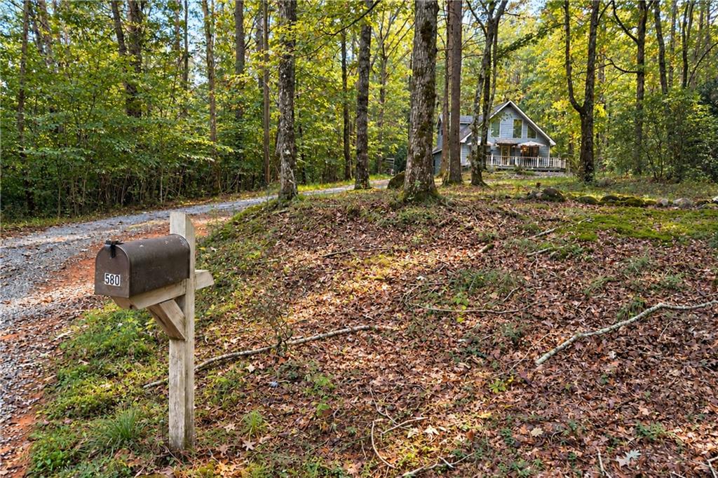 580 Riverwood Road
