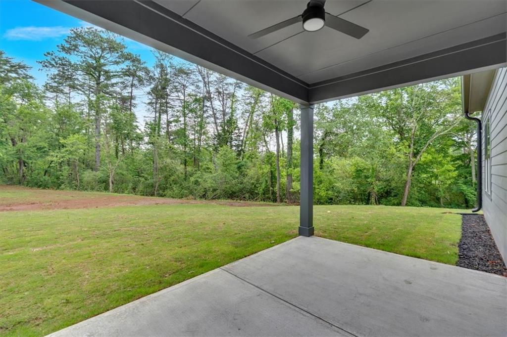 157 Palisade Drive, Rydal, Georgia image 48
