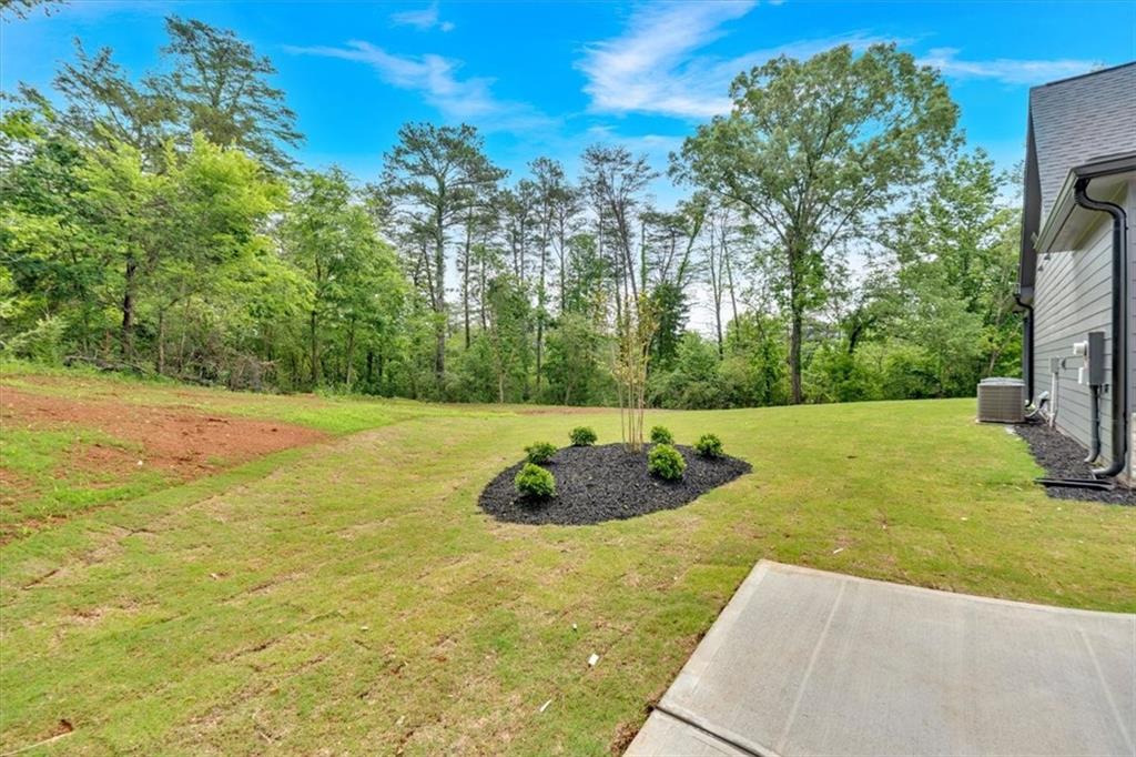 157 Palisade Drive, Rydal, Georgia image 50
