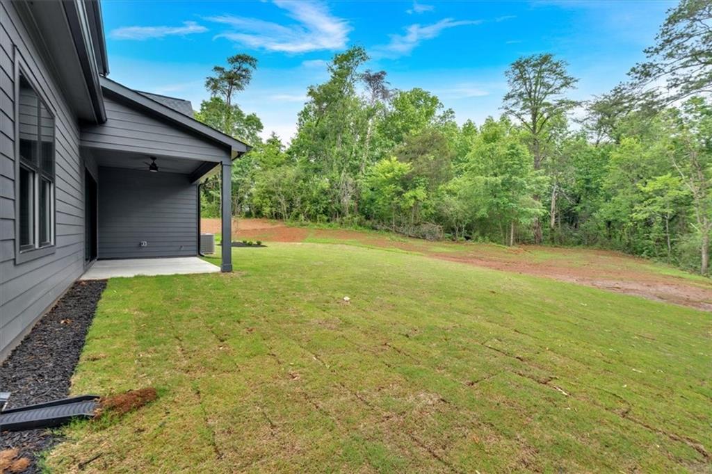 157 Palisade Drive, Rydal, Georgia image 49